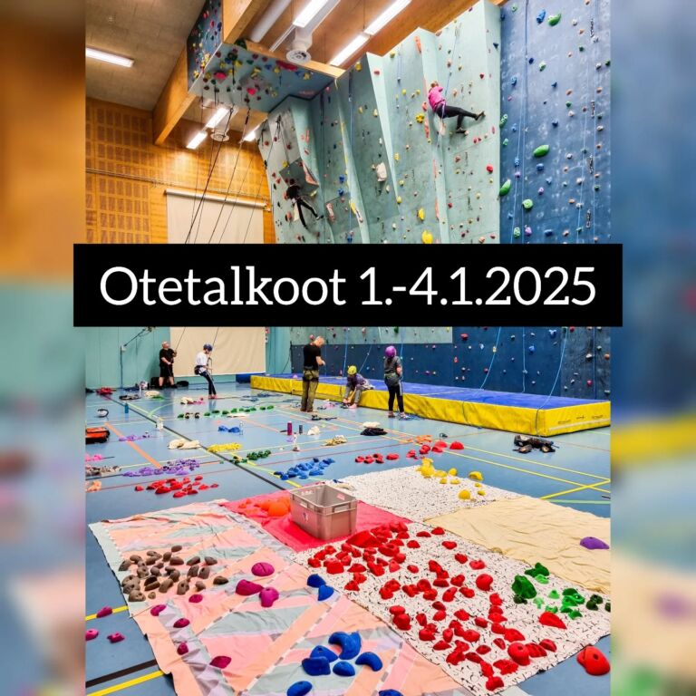 Instagram post from lapinkiipeilijat. This post is in position 12.