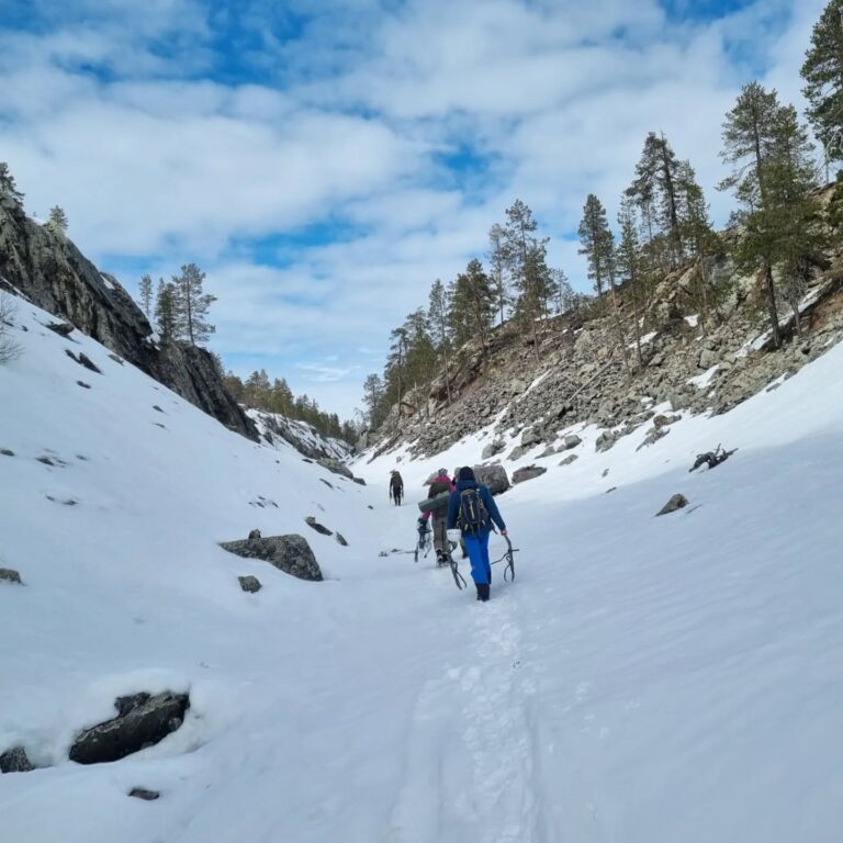Instagram post from lapinkiipeilijat. This post is in position 1.